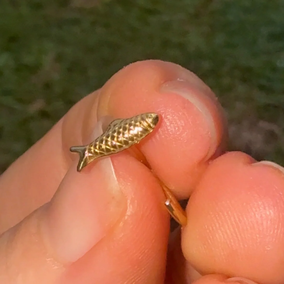 Sardine Comfort Earrings - Image 3